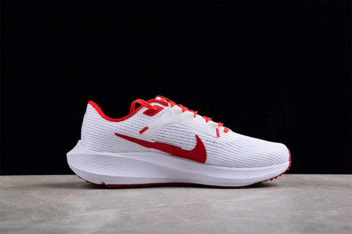 nike zoom  fj2844-100