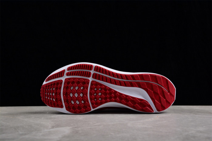 nike zoom  fj2844-100